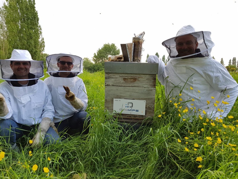 ruche un toit pour les abeilles