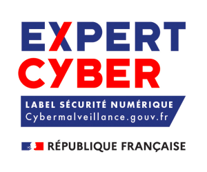 expert_cyber