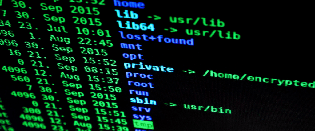 kasseika : une nouvelle cybermenace pour votre entreprise