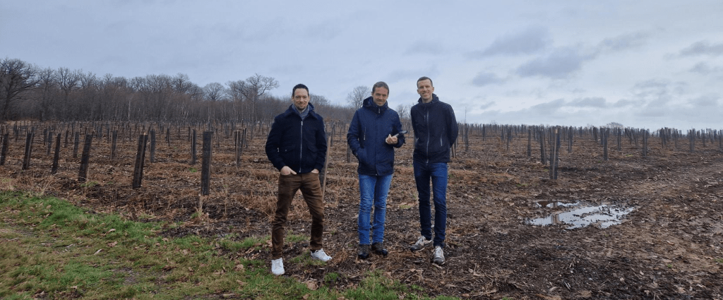 7800 arbres plantes